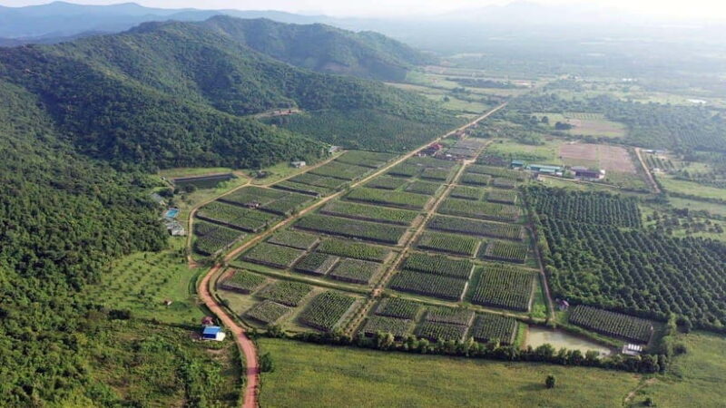 From Phnom Penh: Kampot Day Trip to Beautiful place W/ Guide - FAQs