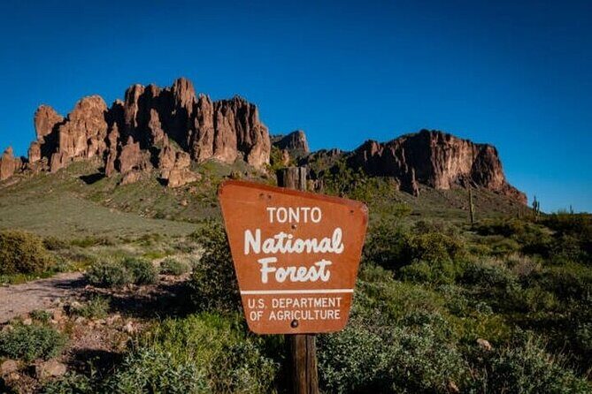 From Phoenix: Offroad Sonoran Desert and Sunset Shared Tour - An Honest Look at the Offroad Sonoran Desert and Sunset Tour