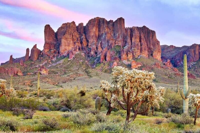 From Phoenix: Private Offroad Sonoran Desert and Sunset Tour - Exploring the Sonoran Desert: An Offroad Journey