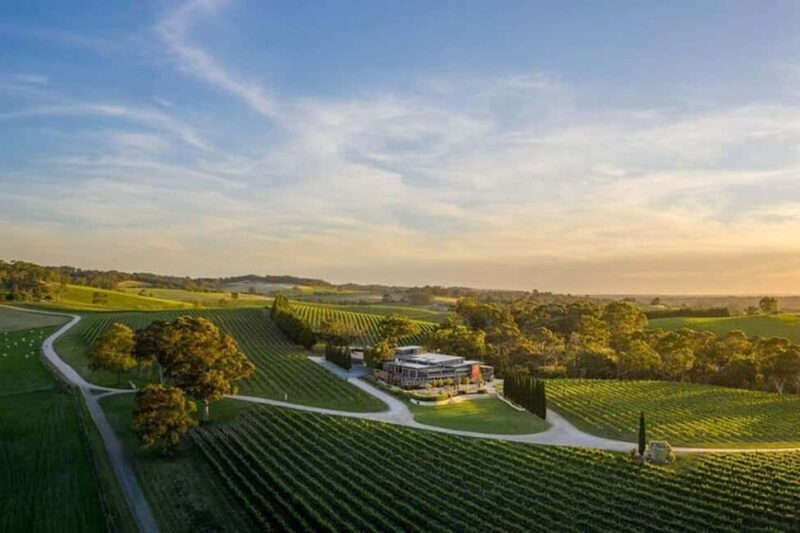 From Phoenix: Vortex to Vineyard Private Tour - An Honest Look at the Tour Itself