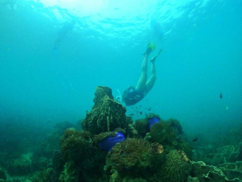 From Phu Quoc: Discover 4 Islands by Speedboat Full Day Tour - What’s Included and What’s Not