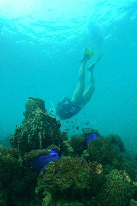 From Phu Quoc: Discover 4 Islands by Speedboat Full Day Tour - Practical Tips for Travelers