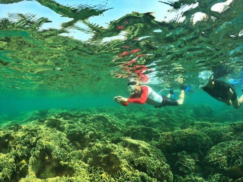 From Phu Quoc: Discover 4 Islands by Speedboat Full Day Tour - The Sum Up: Is It Worth It?