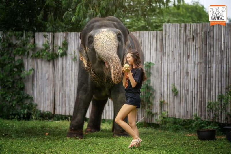 From Phuket: Elephant Jungle Sanctuary Feed and Shower Trip - Who Will Love This Experience?