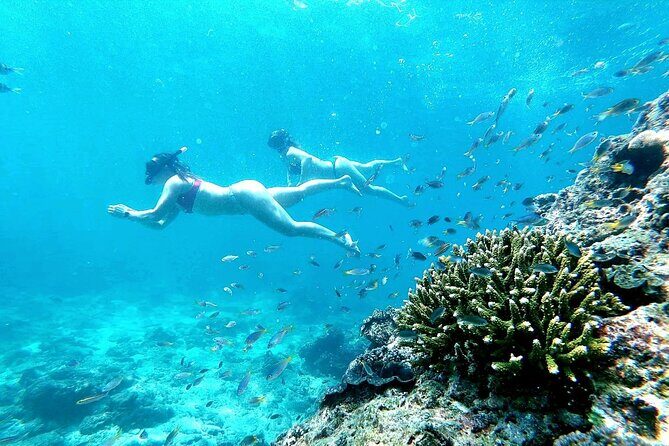 From Phuket: Phi Phi, Maya and Bamboo Islands Full Day Visit - Why This Tour is a Good Choice