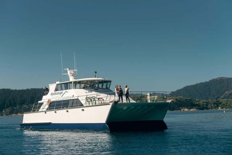 From Picton: Marlborough Sounds Cruise with Seafood - A Scenic Journey through Marlborough Sounds