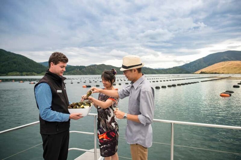 From Picton: Marlborough Sounds Cruise with Seafood - Who Will Love This Tour?