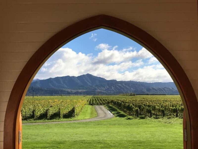 From Picton: Private Wine and Gourmet Tour of Marlborough - Authentic Perspectives from Travelers