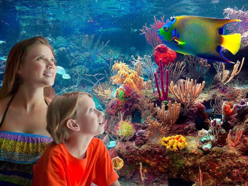 From Playa del Carmen: Complete Combo to Xcaret Park! - Key Points