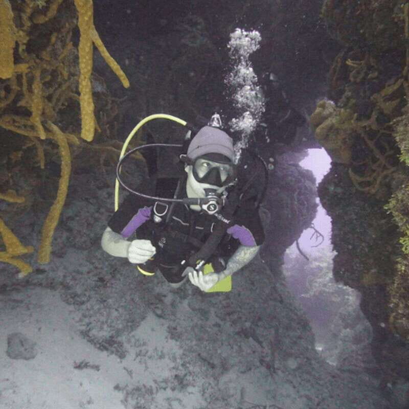 From Playa del Carmen: Cozumel Diving Adventure - Logistics and Practicalities