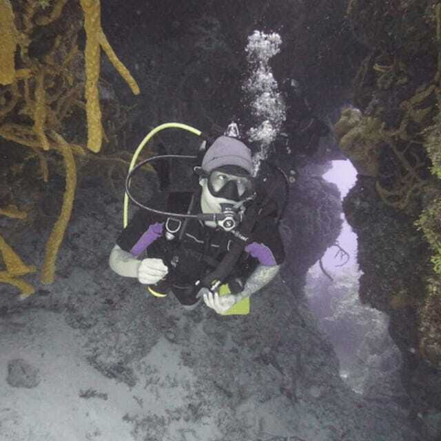 From Playa del Carmen: Cozumel Diving Adventure - Why This Tour Offers Good Value