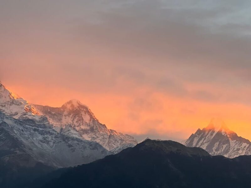 From Pokhara: 2 Day 1 Night Ulleri,Ghorepani Poon Hill Trek - What Makes This Trek Special?