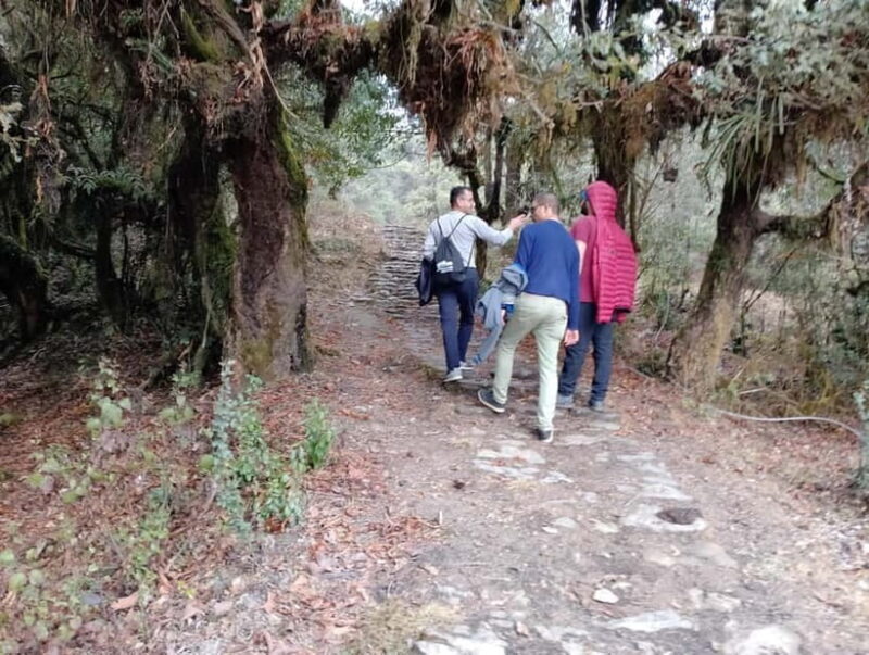 From Pokhara: 2-day Panchase Hill Hiking Tour & Return Drive - An In-Depth Look at the 2-Day Panchase Hill Tour