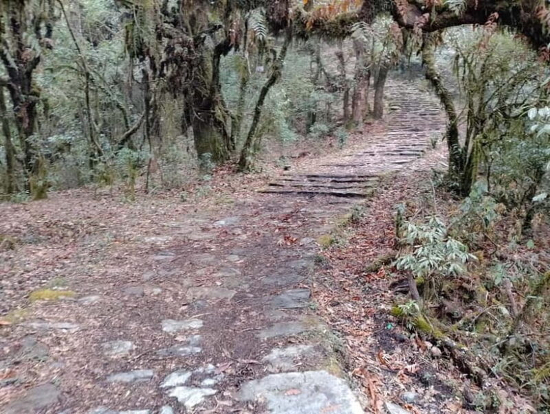 From Pokhara: 2-day Panchase Hill Hiking Tour & Return Drive - The Sum Up
