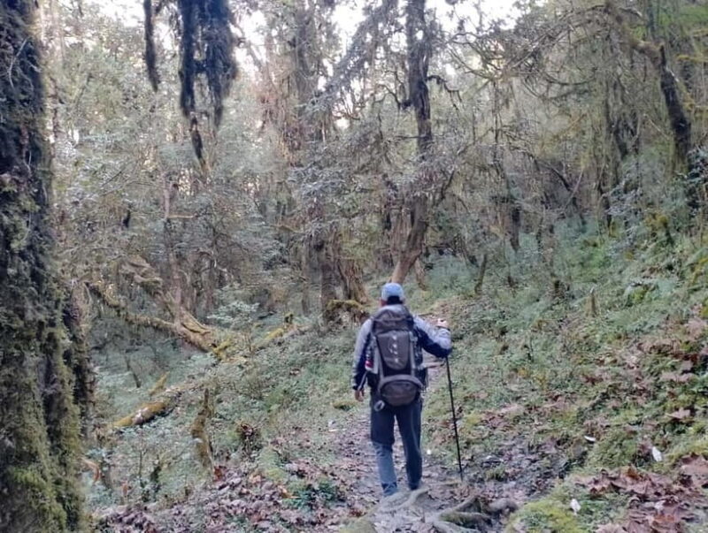 From Pokhara: 2-day Panchase Hill Hiking Tour & Return Drive - FAQ