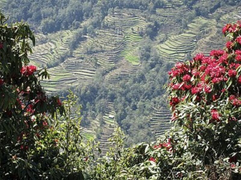 From Pokhara: 2-Day Scenic Australian Camp Trek - Why This Trek Stands Out