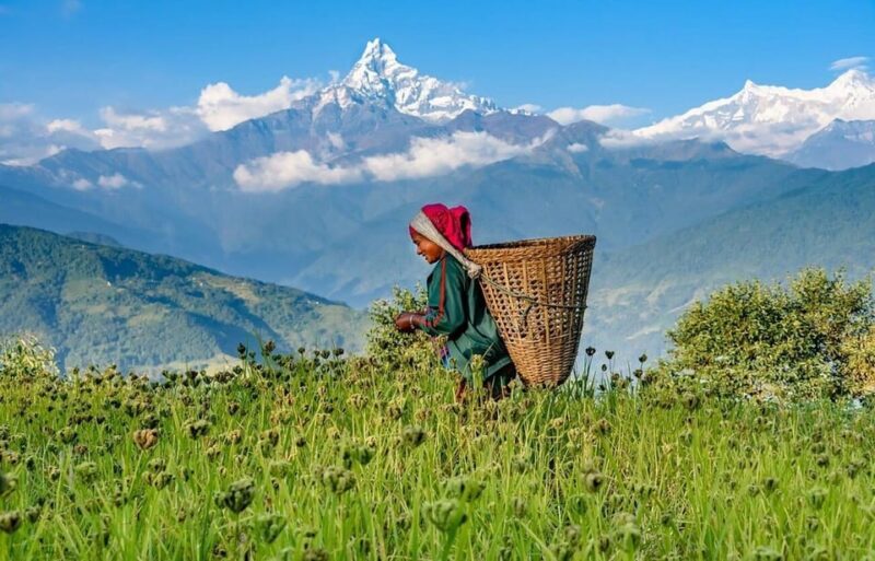 From Pokhara: 3-Day Ghorepani Poonhill Short Trek - Who Should Consider This Trek?