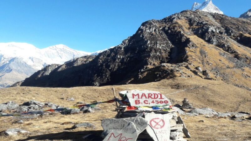 From Pokhara: 3 night 4 Days Mardi Himal Base Camp Trek - Authenticity, Comfort, and Value