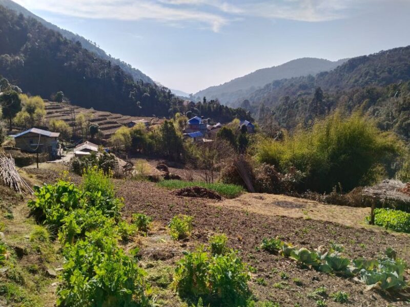 From Pokhara: 4-Day Annapurna and Poon Hill Himalayan Trek - Key Points