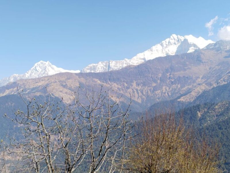 From Pokhara: 4-Day Annapurna and Poon Hill Himalayan Trek - The Sum Up