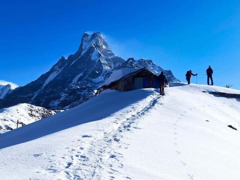 From Pokhara: 4-Day Mardi Himal Base Camp Trek - Practical Tips for Your Mardi Himal Trek