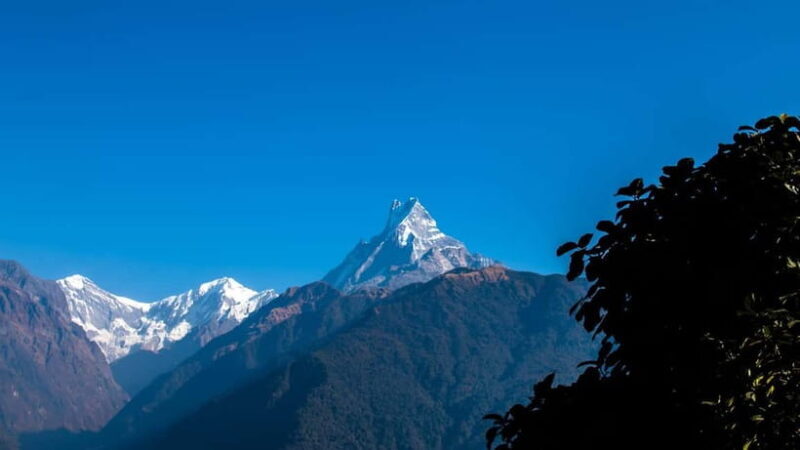 From Pokhara: 4-Day Mardi Himal Base Camp Trek - The Sum Up