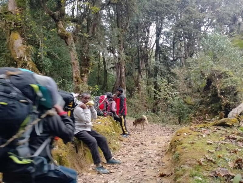 From Pokhara: 4-Day Mardi Himal Base Camp Trek - Who Should Consider This Trek?
