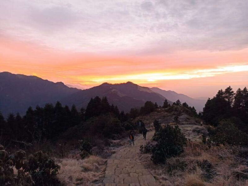 From Pokhara: 4-Day Poon Hill Trek with Transfers - An In-Depth Look at the 4-Day Poon Hill Trek from Pokhara