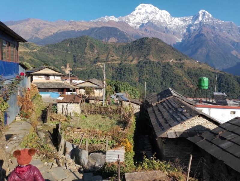 From Pokhara: 5 Day Annapurna Base Camp Trek - Introduction
