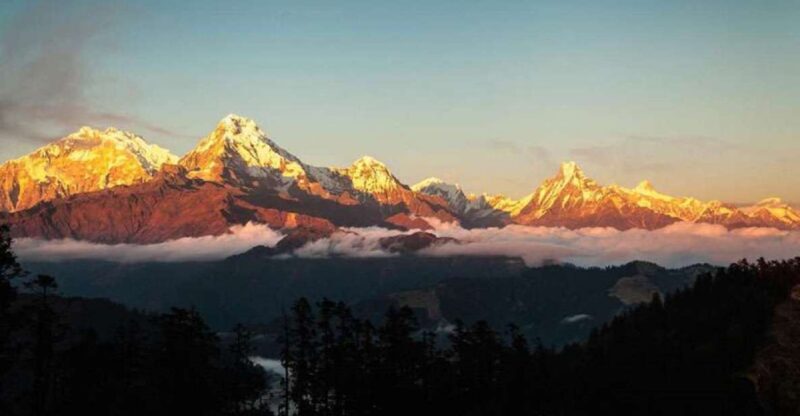 From Pokhara: 5-Day Annapurna Basecamp Trek with Hot Springs - Final Thoughts