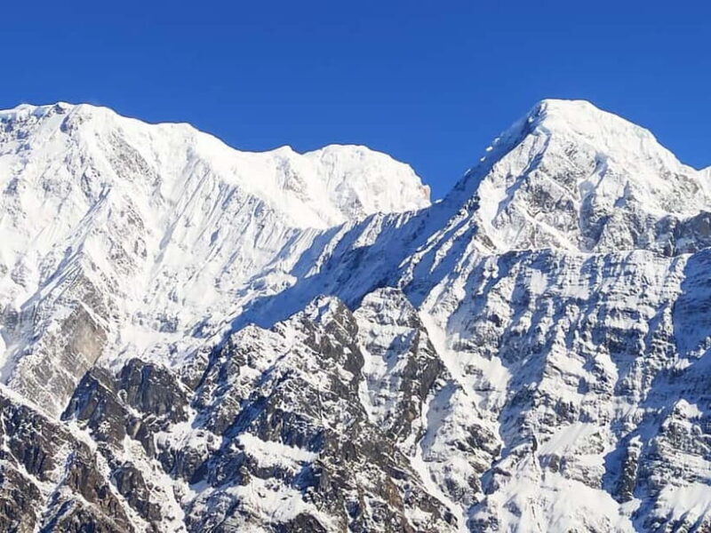 From Pokhara: 5-Day Mardi Himal Base Camp Guided Trekking - What Makes This Trek Special?