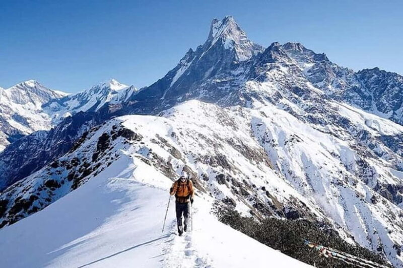 From Pokhara: 5-Day Mardi Himal Base Camp Trek - Key Points
