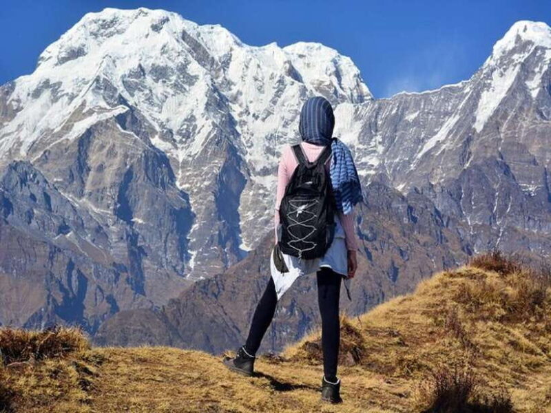 From Pokhara: 5-Day Mardi Himal Base Camp Trek - The Scenic Highlights and Photo Opportunities