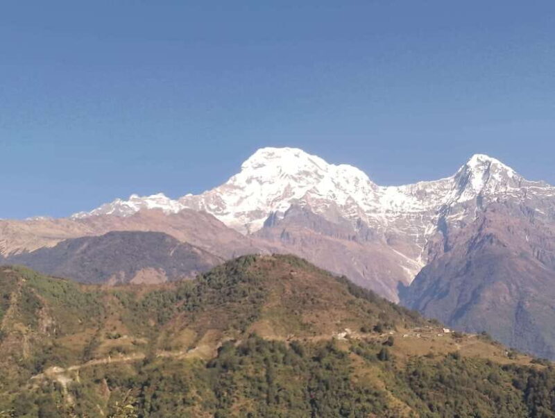 From Pokhara: 6 Day Annapurna Base Camp Amazing Trek - Day 2: Trek to Himalaya (2,920 meters)