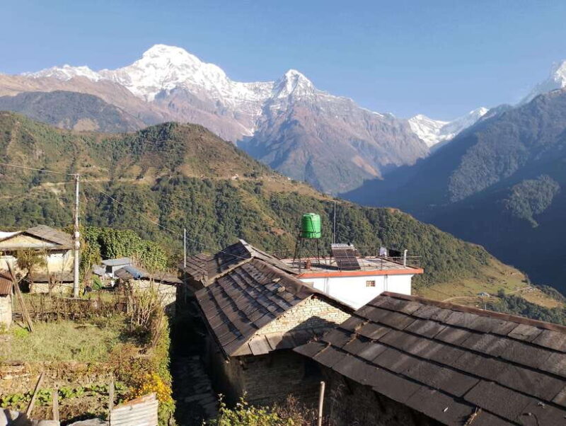 From Pokhara: 6 Day Annapurna Base Camp Amazing Trek - Day 5: Descending from Annapurna Base Camp to Bamboo