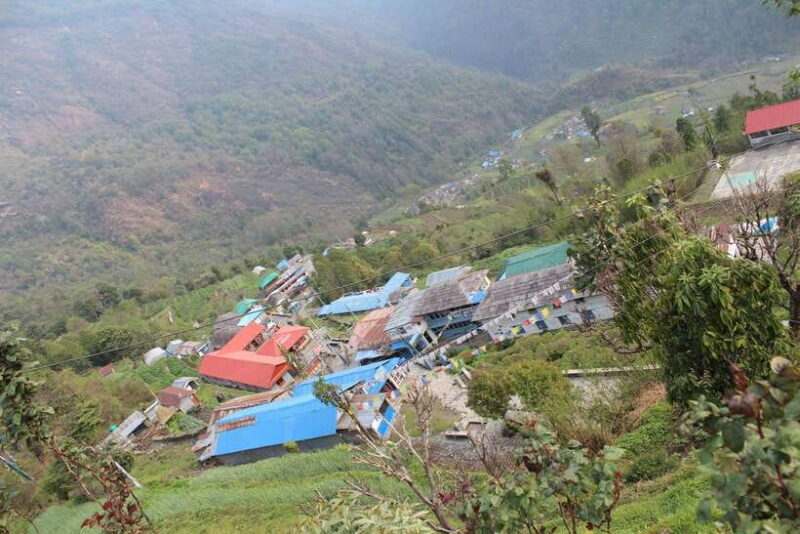 from Pokhara: 7-Day Annapurna Base Camp Trek - The Trekking Experience