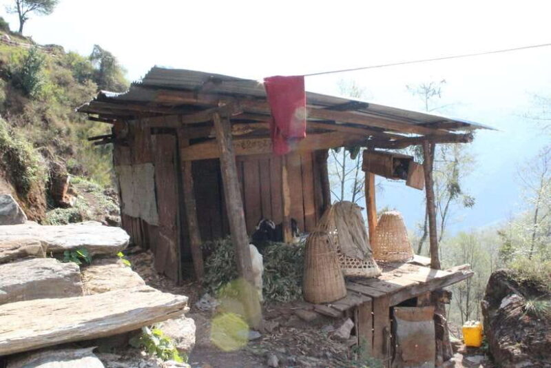 from Pokhara: 7-Day Annapurna Base Camp Trek - The Value for Money