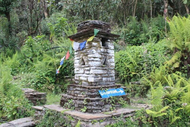 from Pokhara: 7-Day Annapurna Base Camp Trek - Final Thoughts