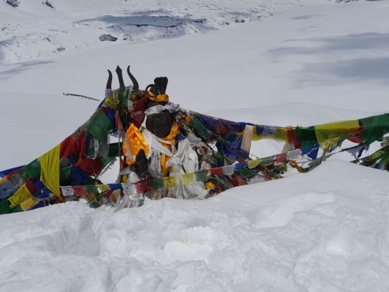 From Pokhara: 7 Days Annapurna Basecamp Trek - Key Points