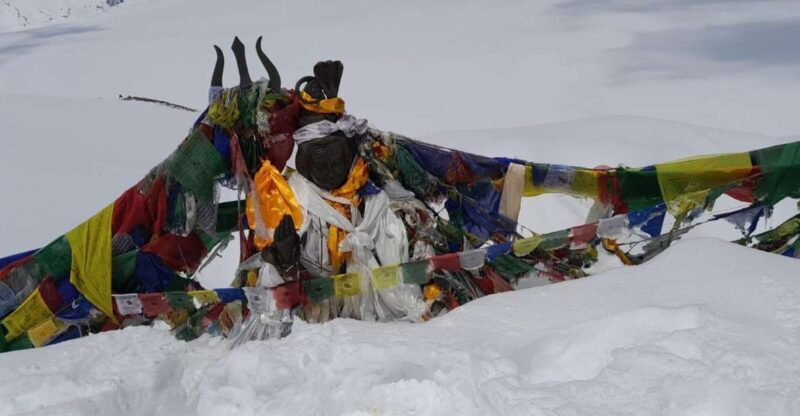 From Pokhara: 7 Days Annapurna Basecamp Trek - An Authentic Himalayan Experience with Practical Considerations