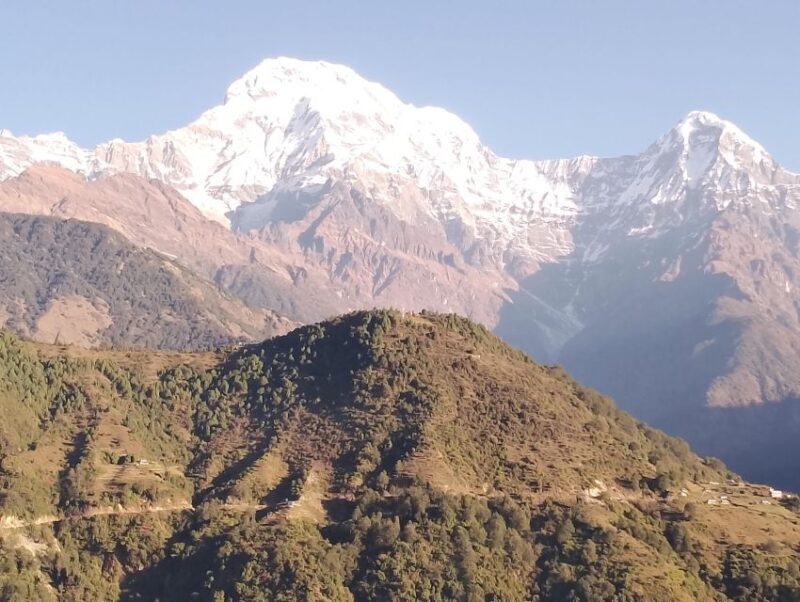 From Pokhara: 7 Days Budget backpackers group ABC Trek - Day 4: Deurali to Machhapuchhre Base Camp (MBC) and Annapurna Base Camp (ABC)