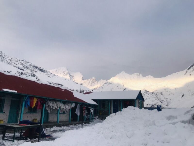 From Pokhara: 7 Days Budget backpackers group ABC Trek - Day 5: Sunrise at ABC and Descent to Dovan