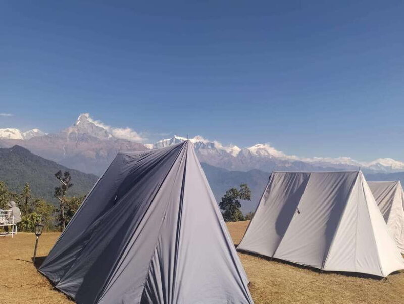 From Pokhara: A 7-Day Trek to the Heart of the Himalayas - Why This Trek Offers Great Value