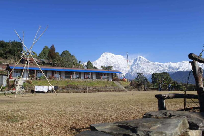 From Pokhara: Australian Camp and Dhampus Guided Day Hike - Key Points