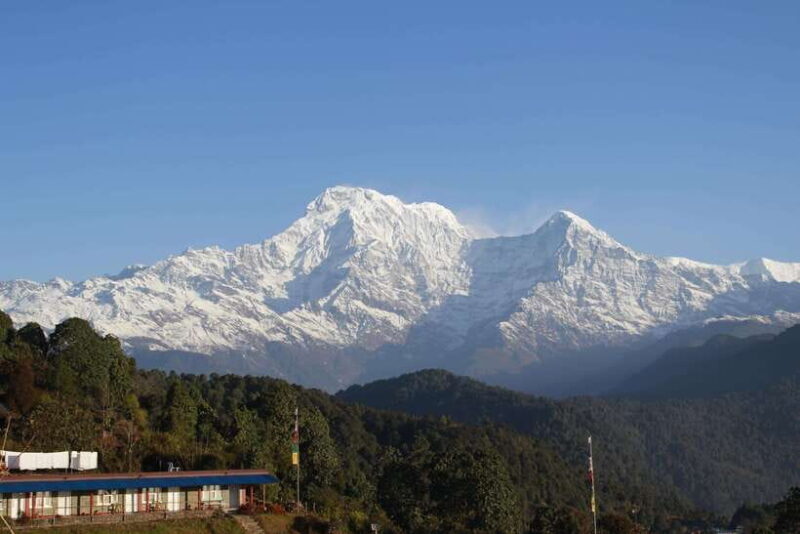 From Pokhara: Australian Camp and Dhampus Guided Day Hike - Exploring the Itinerary: What This Tour Offers