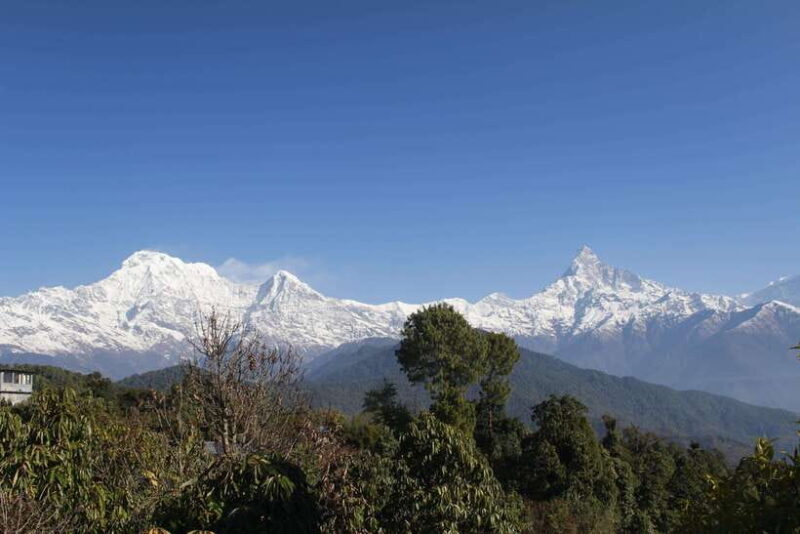 From Pokhara: Australian Camp and Dhampus Guided Day Hike - Authentic Experiences and Real Traveler Feedback