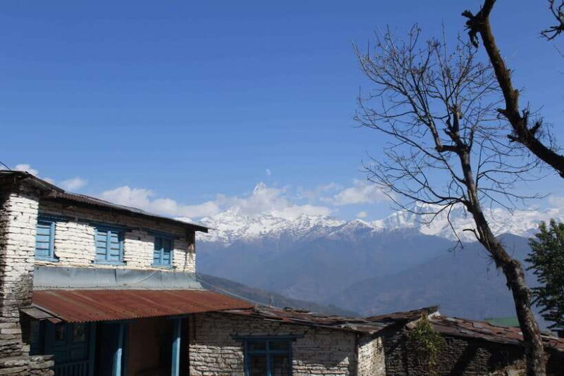 From Pokhara: Australian Camp and Dhampus Guided Day Hike - The Value of This Tour