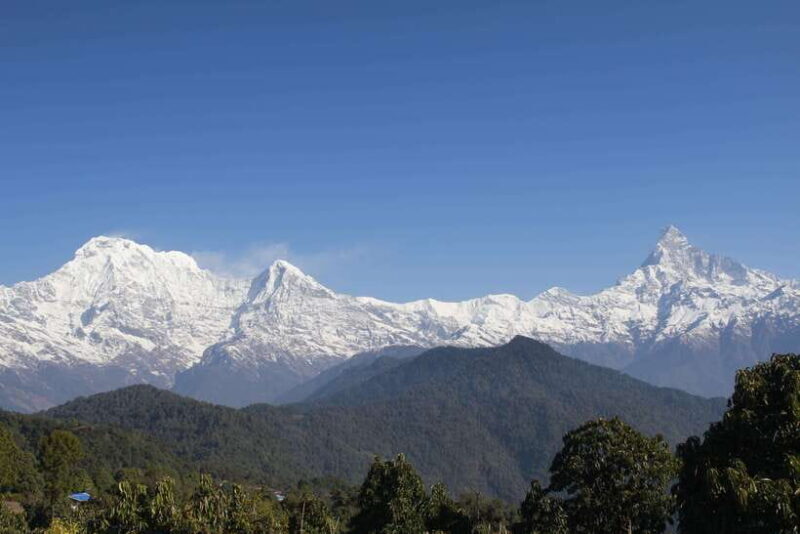 From Pokhara: Australian Camp and Dhampus Guided Day Hike - Who Should Consider This Experience?