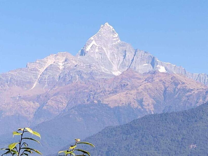 From Pokhara: Australian Camp and Dhampus Hiking Tour - An Introduction to the Australian Camp and Dhampus Hiking Experience