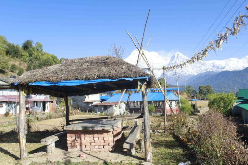 From Pokhara: Australian Camp and Dhampus Hiking Tour - Transportation and Guide